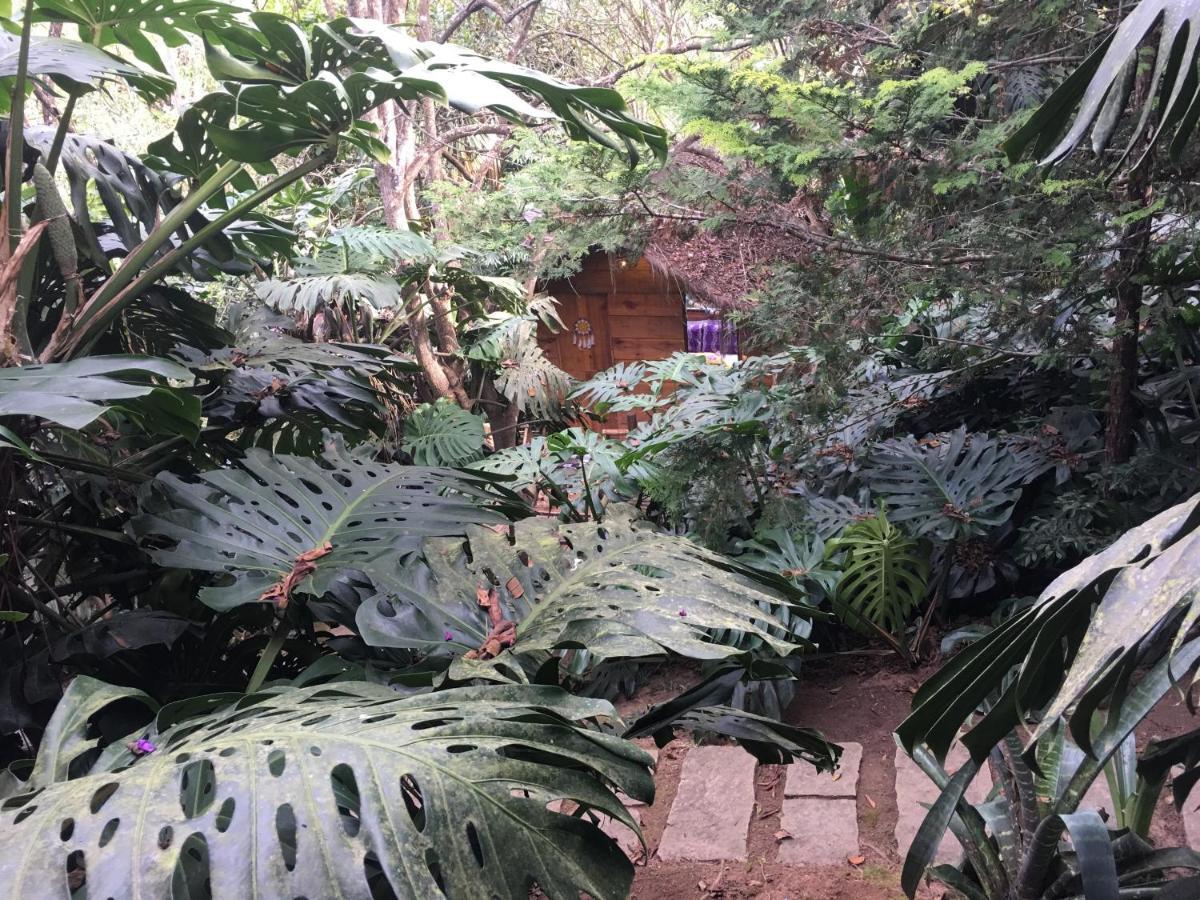 Hotel Casa Ranxoxita Itaipava Exteriér fotografie